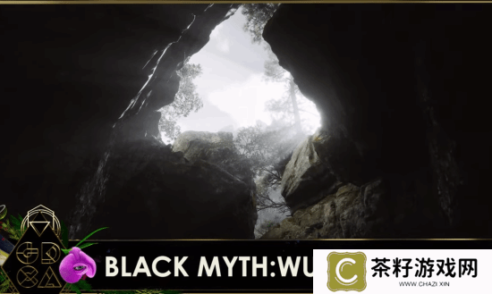 本站