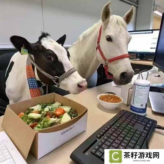 本站