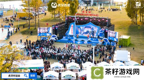 “项王杯”暨2024江苏省虎牙乡村运动会盛大启幕，电竞与文化融合展现全民风采