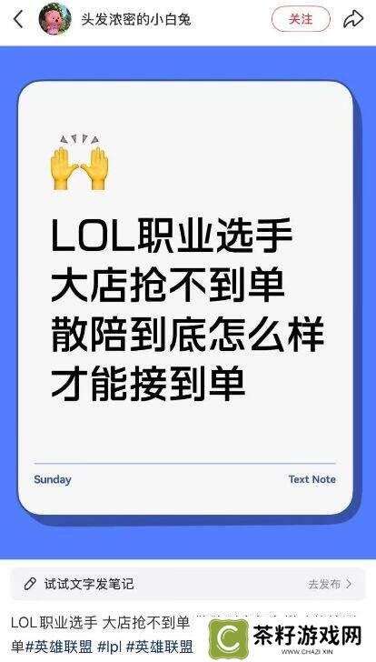 从＂单杀王思聪＂到陪玩接单难：退役LOL选手的生存困境